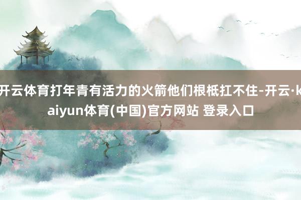 开云体育打年青有活力的火箭他们根柢扛不住-开云·kaiyun体育(中国)官方网站 登录入口